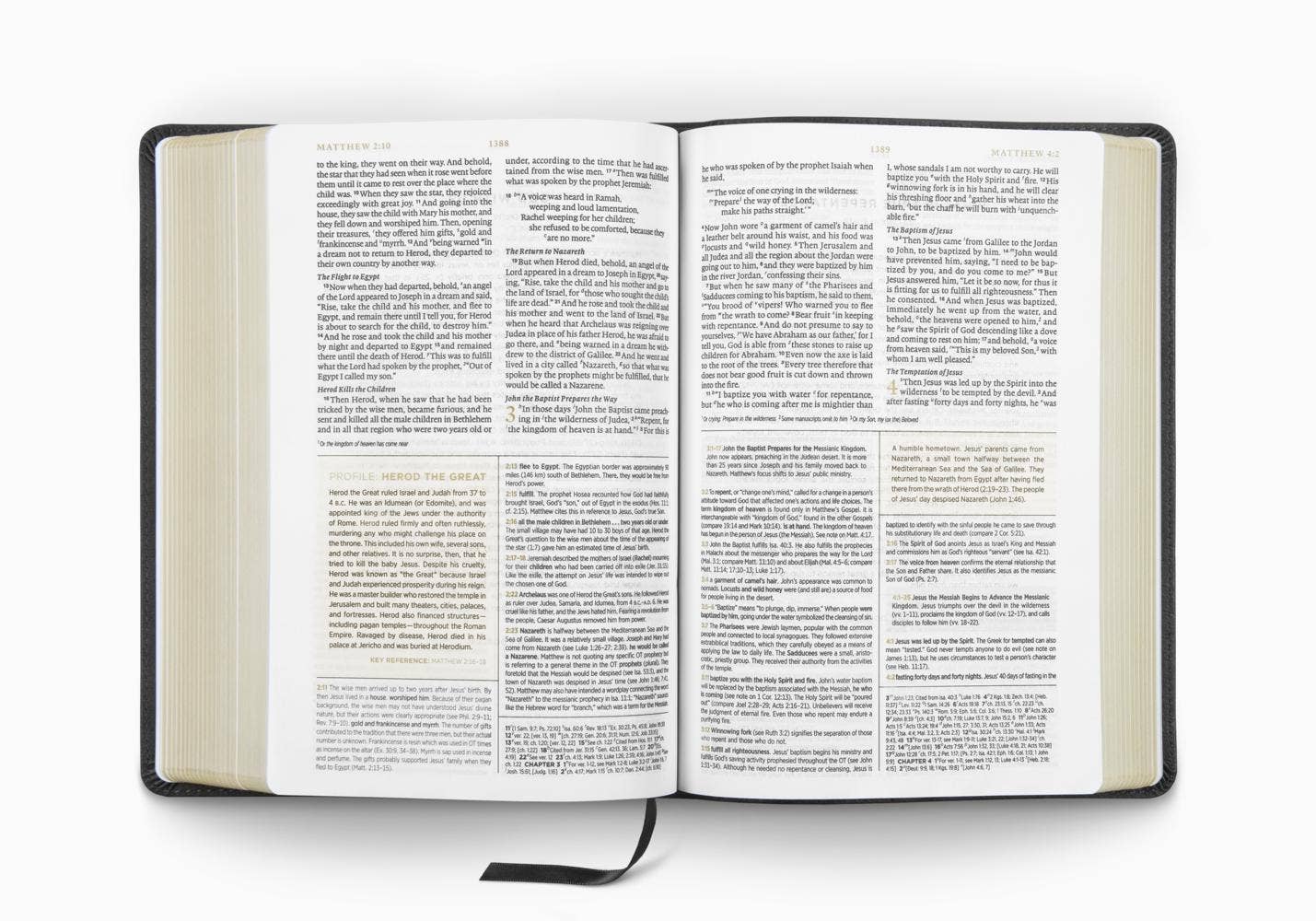 ESV Men's Study Bible: TruTone®, Charcoal, Shield Design