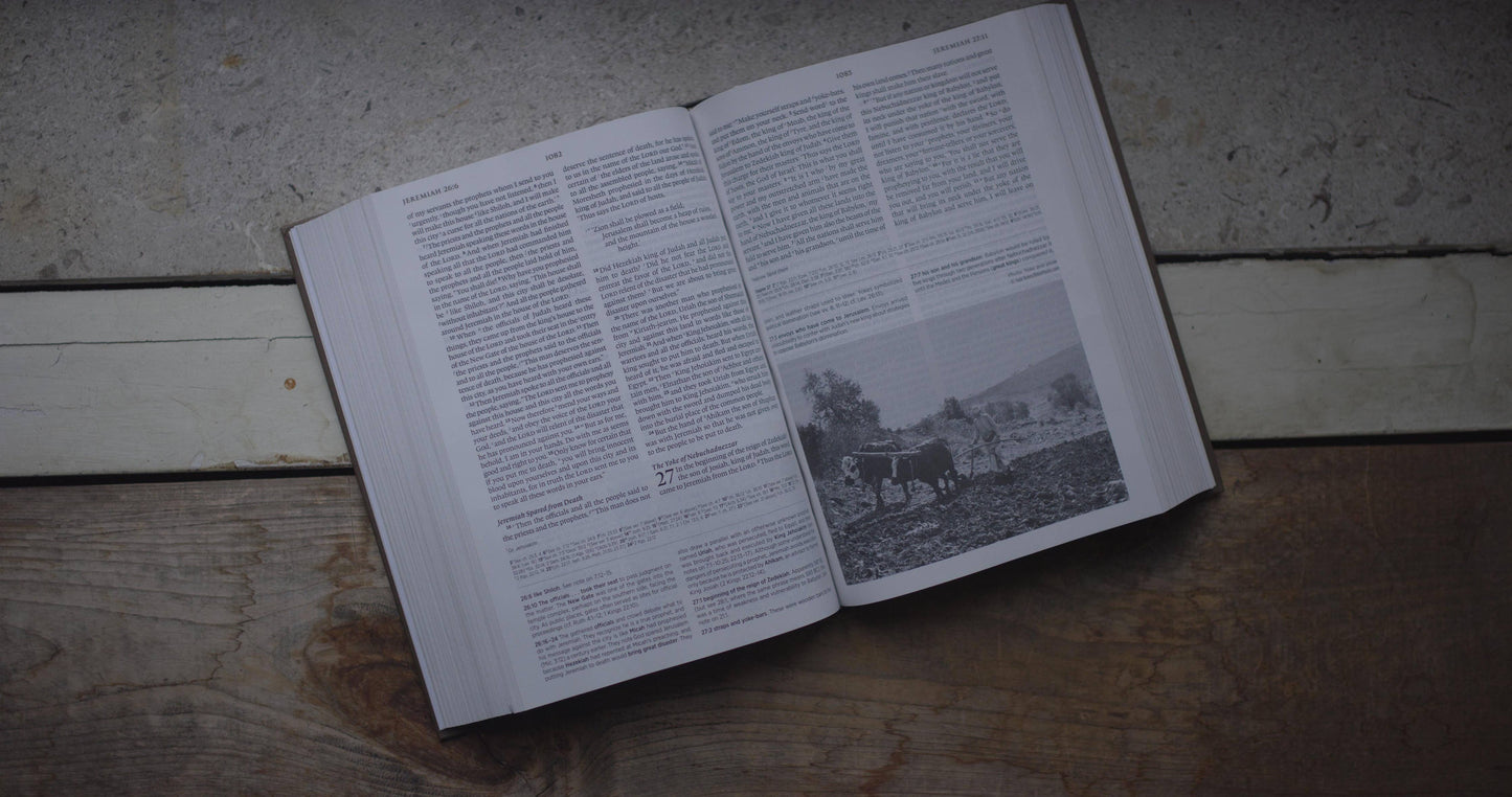 ESV Archaeology Study Bible, Hardcover