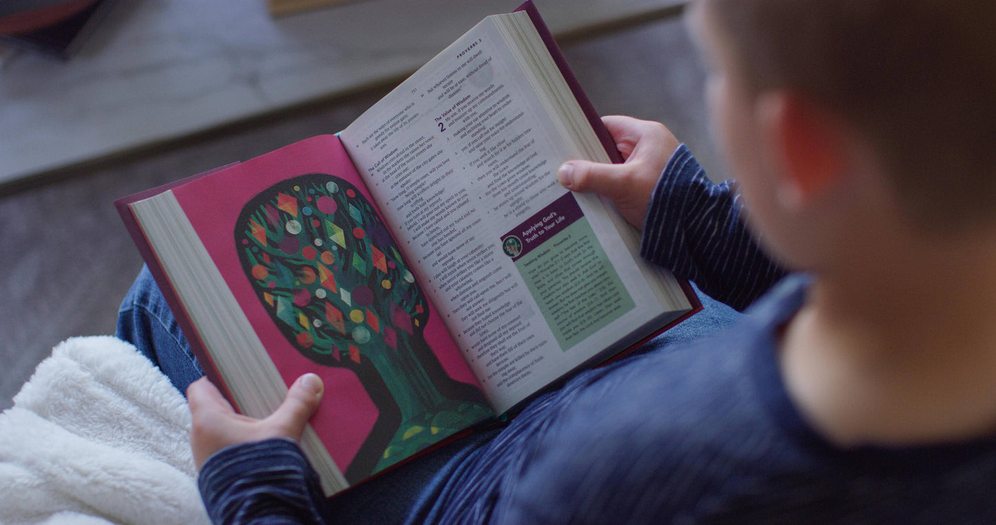 ESV The Biggest Story Holy Bible for Kids, Hardcover