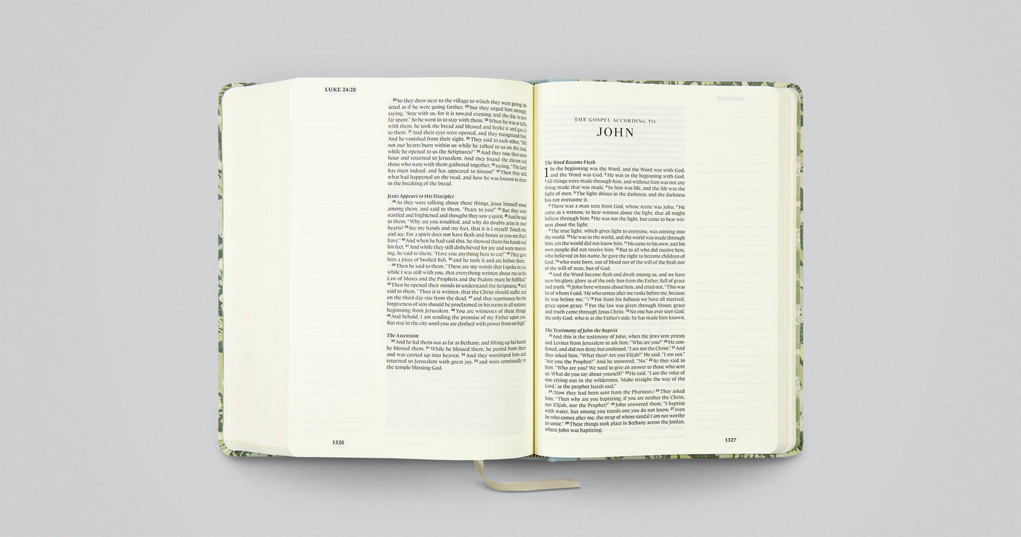 ESV Single Column Journaling Bible®, Large Print, Artist