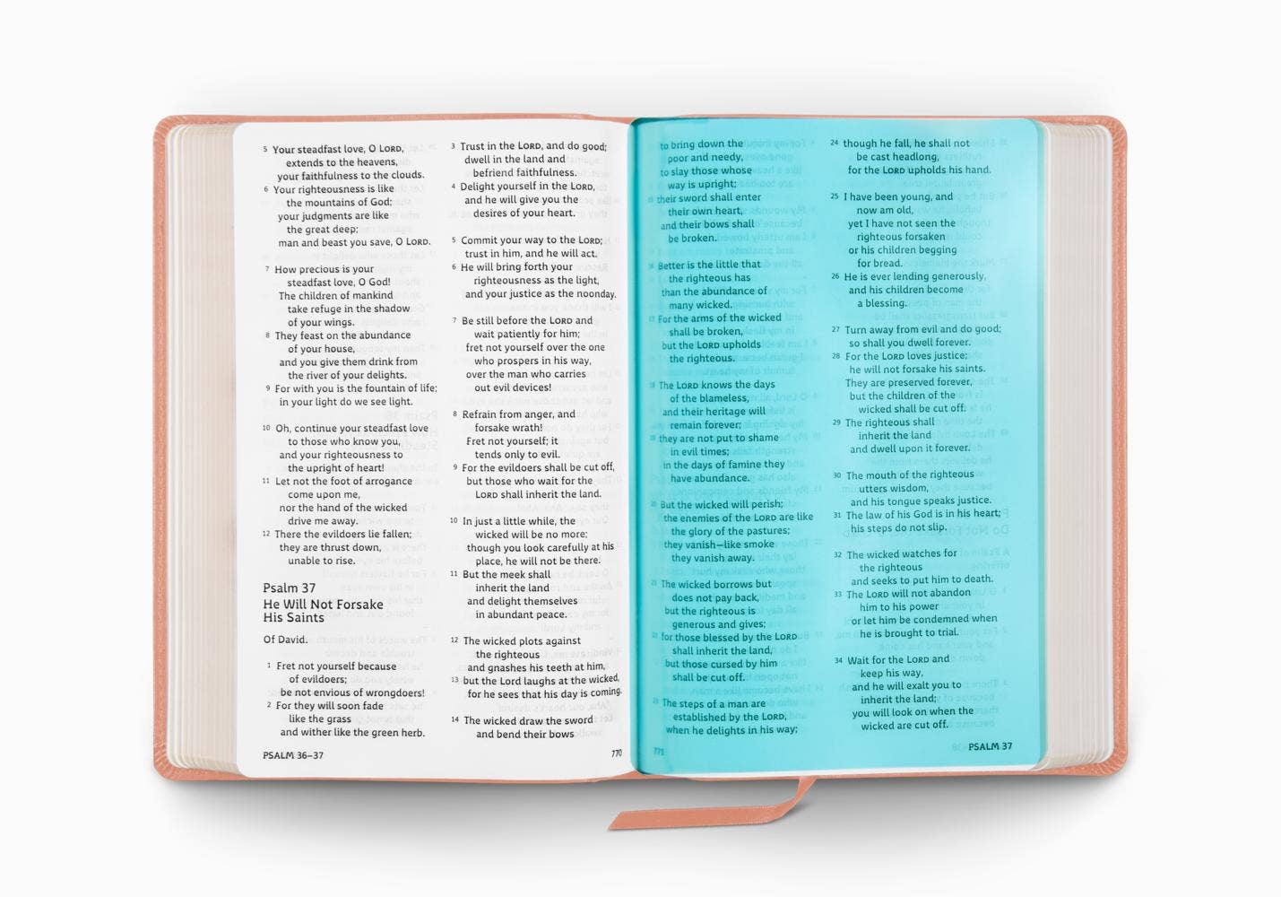 ESV Holy Bible: Dyslexia-Friendly Edition, Blush Rose