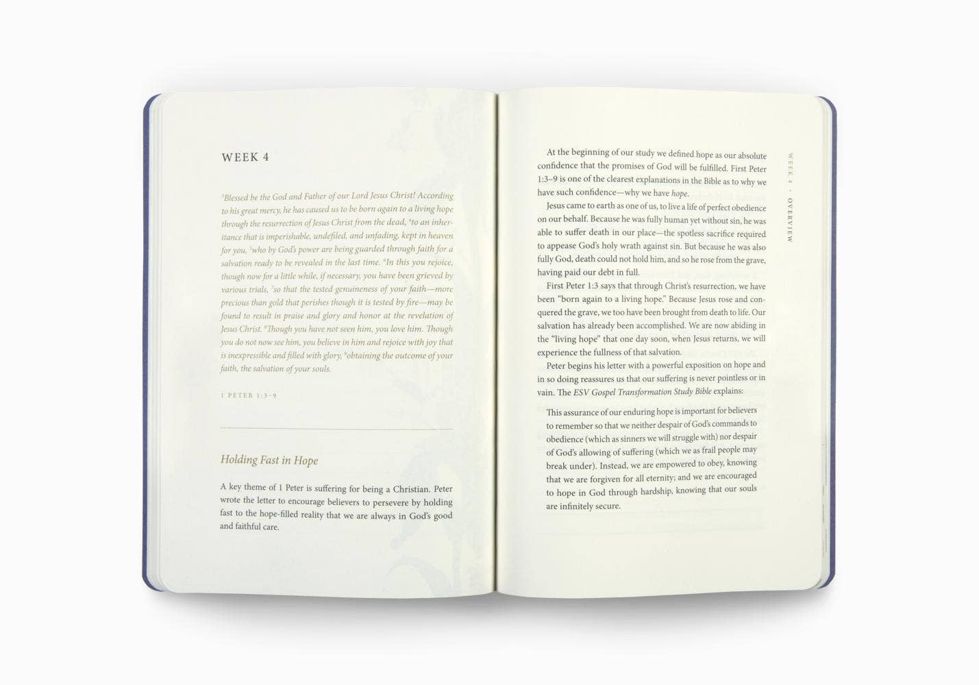 ESV Prayer Journal: 30 Days on Hope (PB)