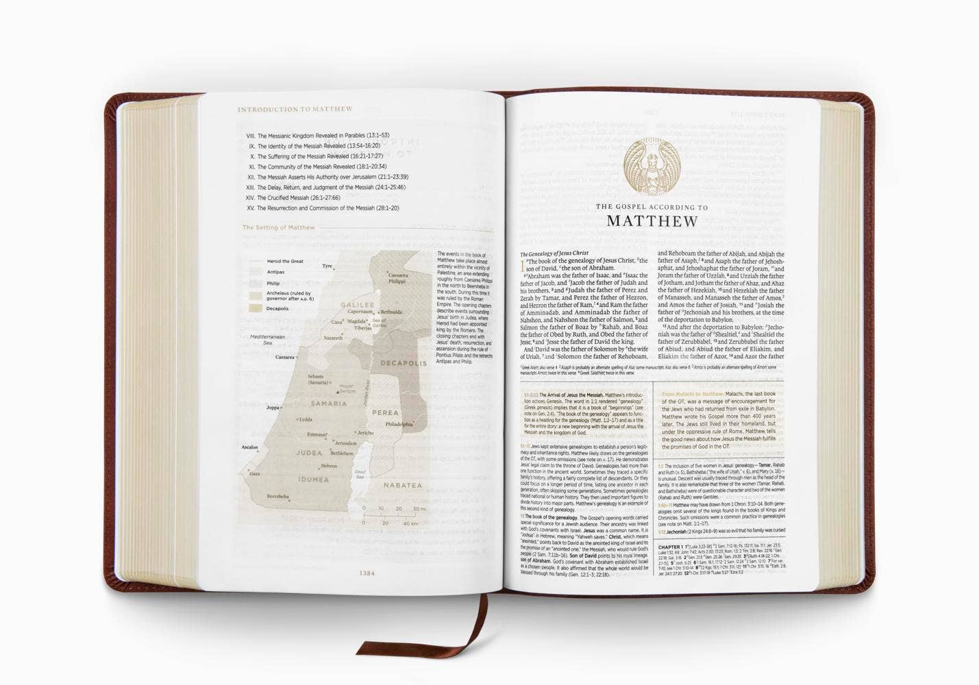 ESV Men's Study Bible: TruTone®, Brown