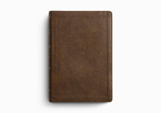 ESV Holy Bible: Dyslexia-Friendly Edition, TruTone®, Brown