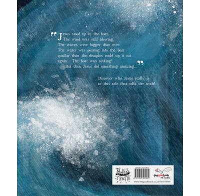 The Storm That Stopped Storybook