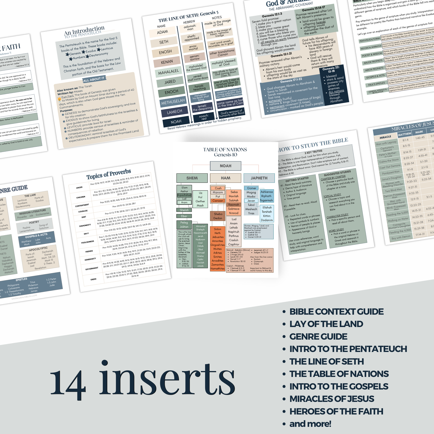 Men's Bible Inserts - Volume 1