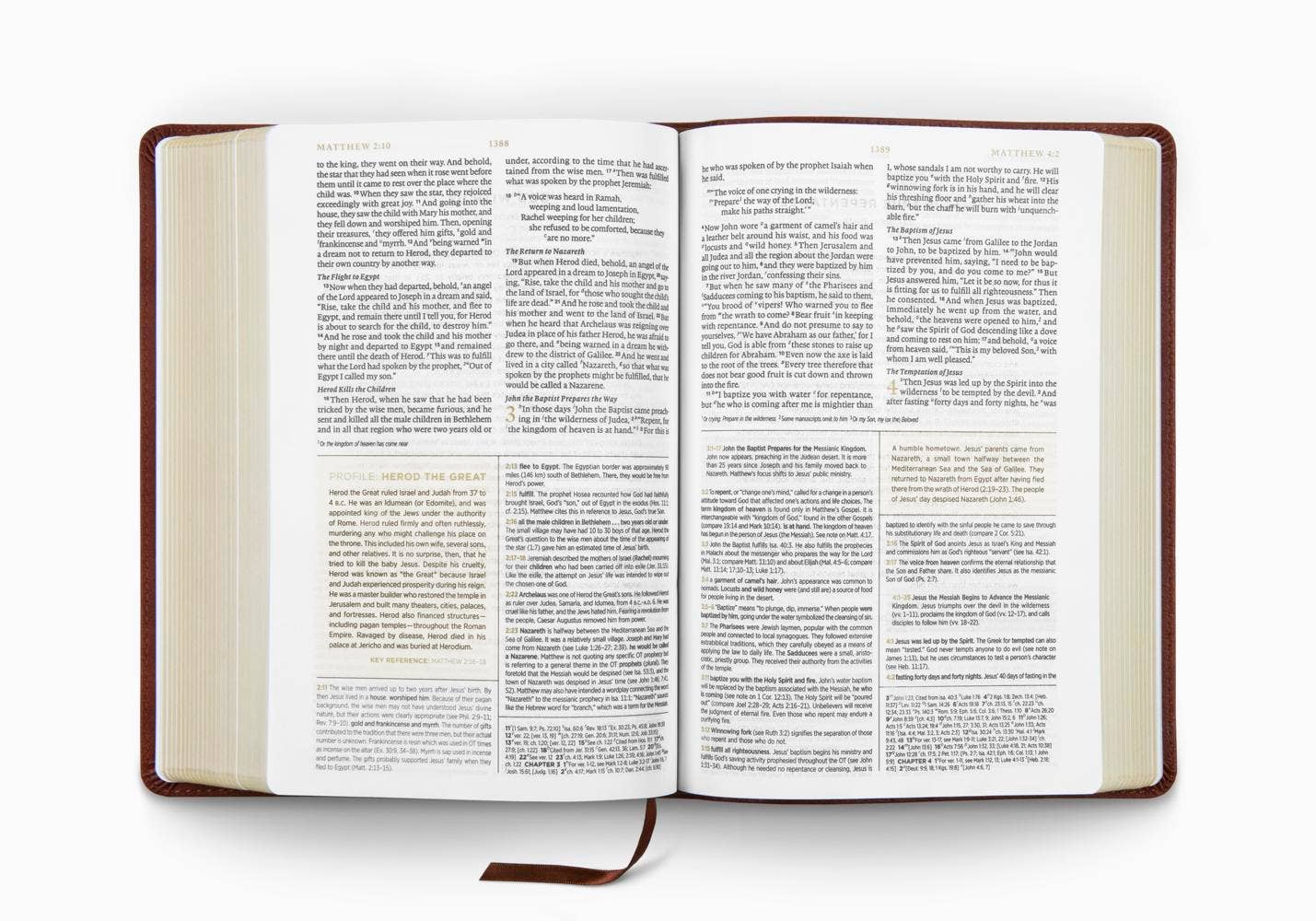 ESV Men's Study Bible: TruTone®, Brown
