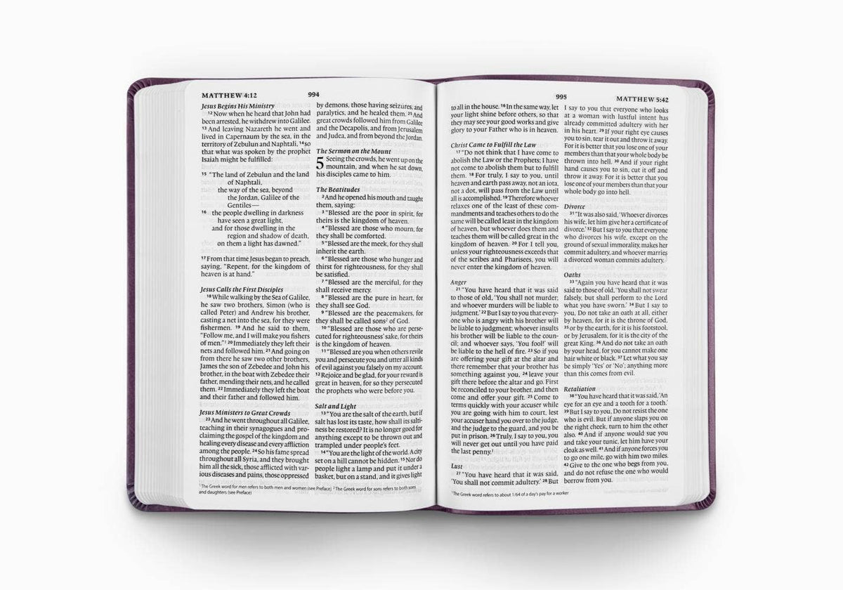 ESV Large Print Value Thinline Bible, TruTone®, Lavender