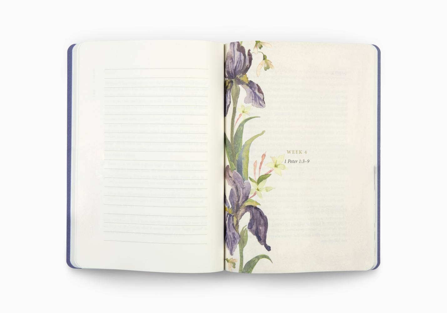 ESV Prayer Journal: 30 Days on Hope (PB)