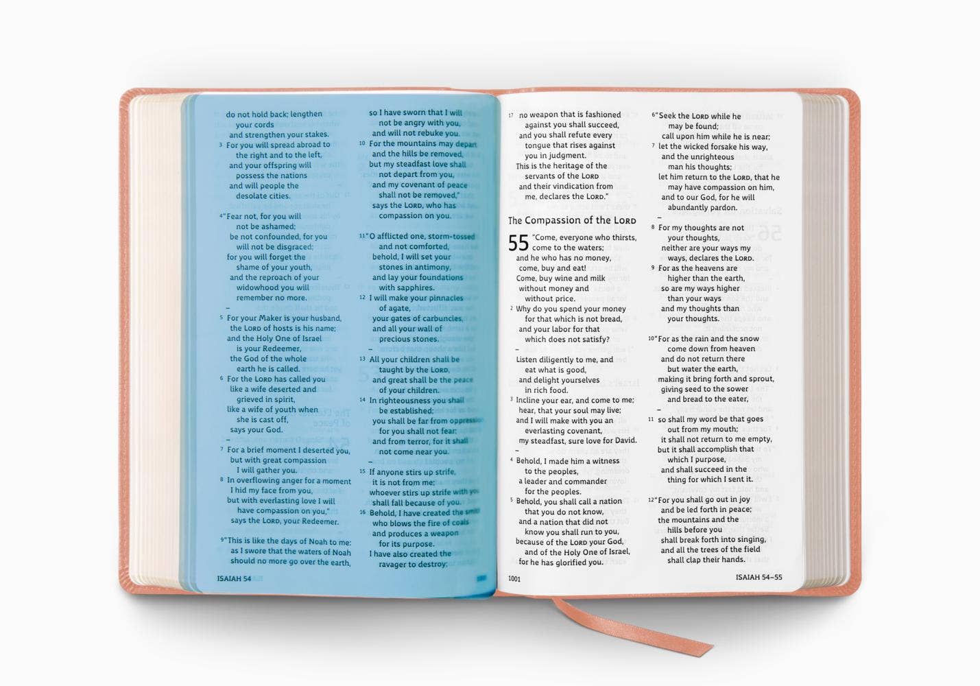 ESV Holy Bible: Dyslexia-Friendly Edition, Blush Rose