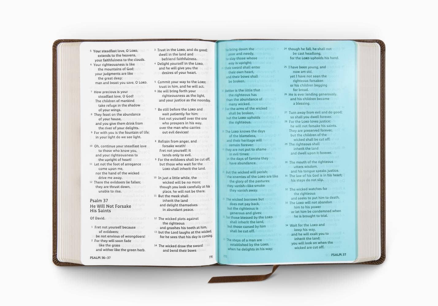 ESV Holy Bible: Dyslexia-Friendly Edition, TruTone®, Brown