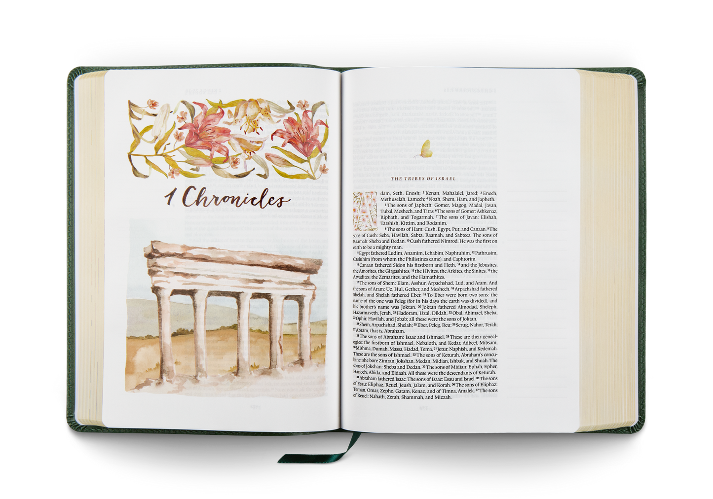 ESV GraceLaced Bible, Artwork by Ruth Chou Simons, TruTone®