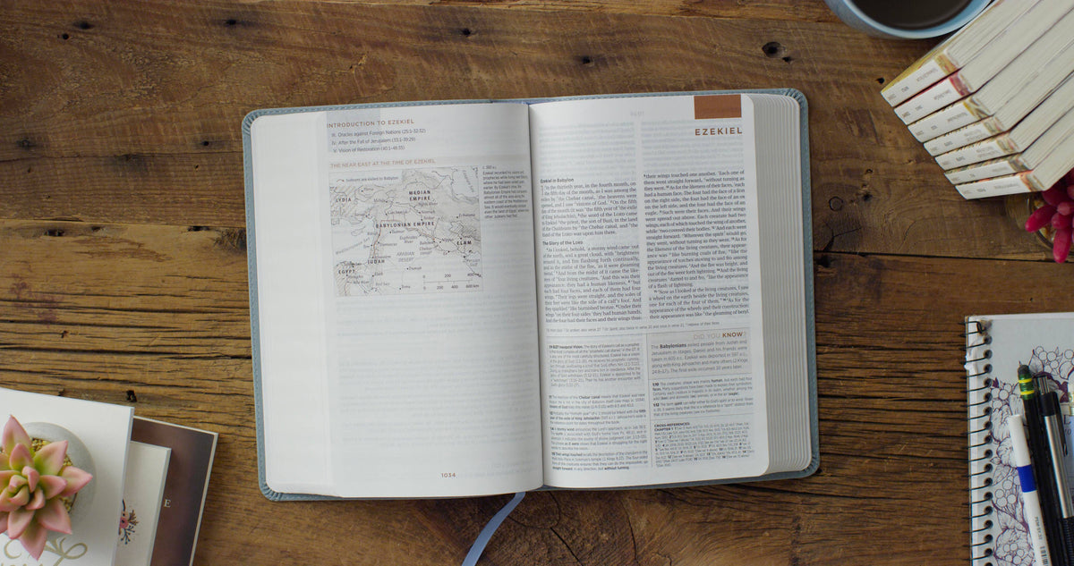 ESV Student Study Bible®, TruTone, Paris Sky, Fleur-de-lis